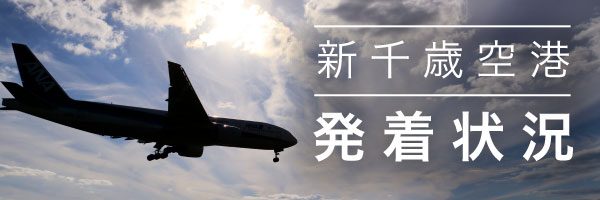 千歳空港発着状況